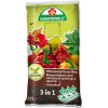 Istutuskott Greenworld 35 l